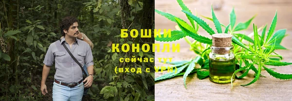 спиды Краснослободск
