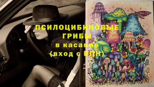 спиды Краснослободск