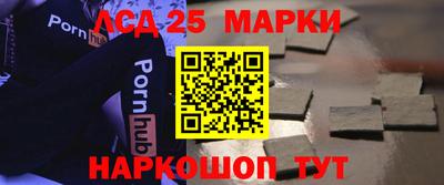 стафф Гай