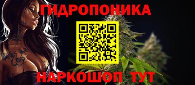 стафф Гай