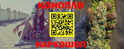 сатива Гатчина