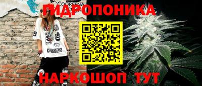 стафф Гай