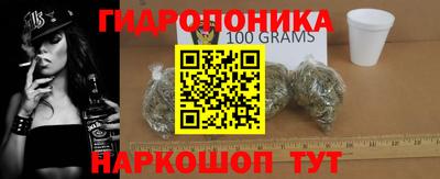 сатива Гатчина