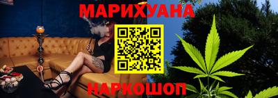 стафф Гай