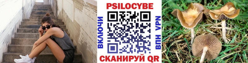 Галлюциногенные грибы GOLDEN TEACHER  как найти   Пушкино 
