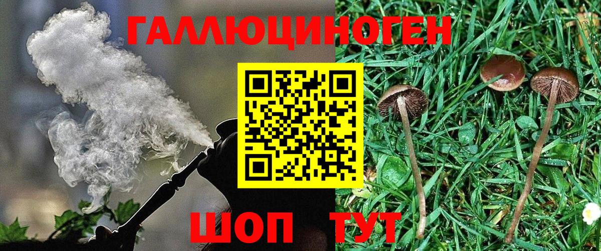 Пушкино  Псилоцибиновые грибы Magic Shrooms  сколько стоит  Вход с VPN 