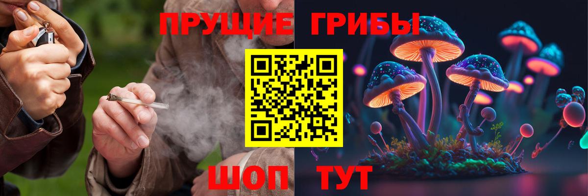 Псилоцибиновые грибы мицелий Пушкино